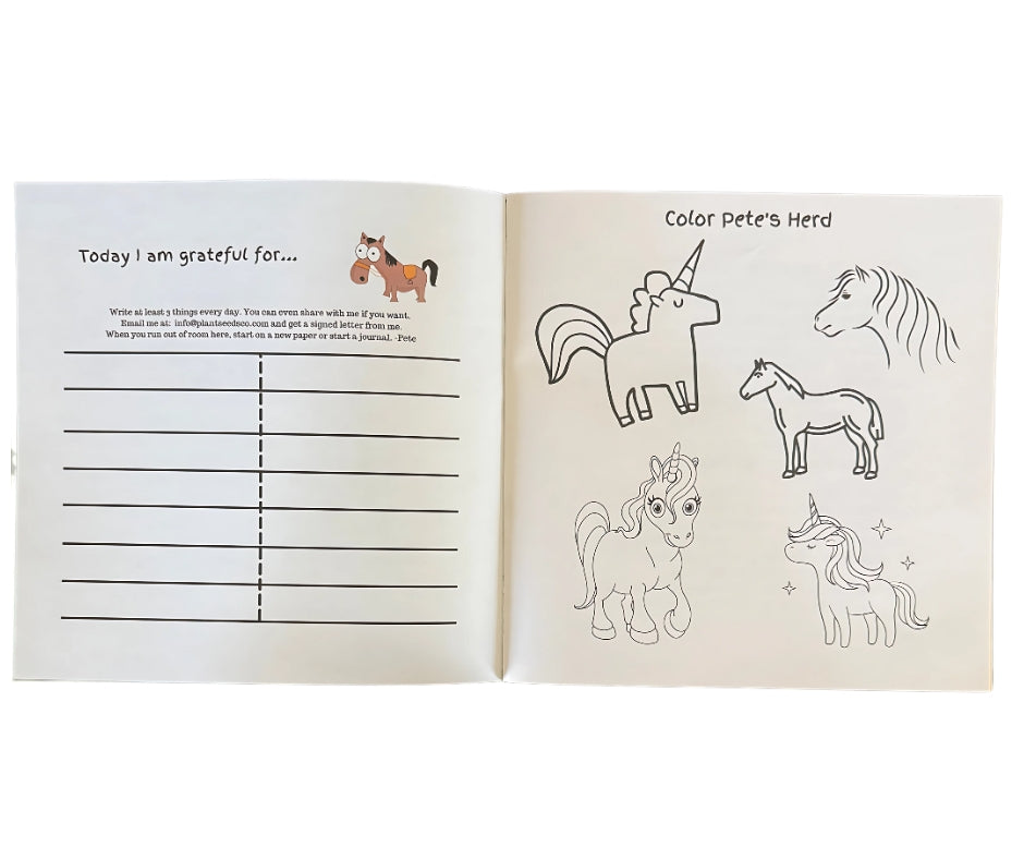 Lessons From Pete the Pony: Pete's Old Saddle